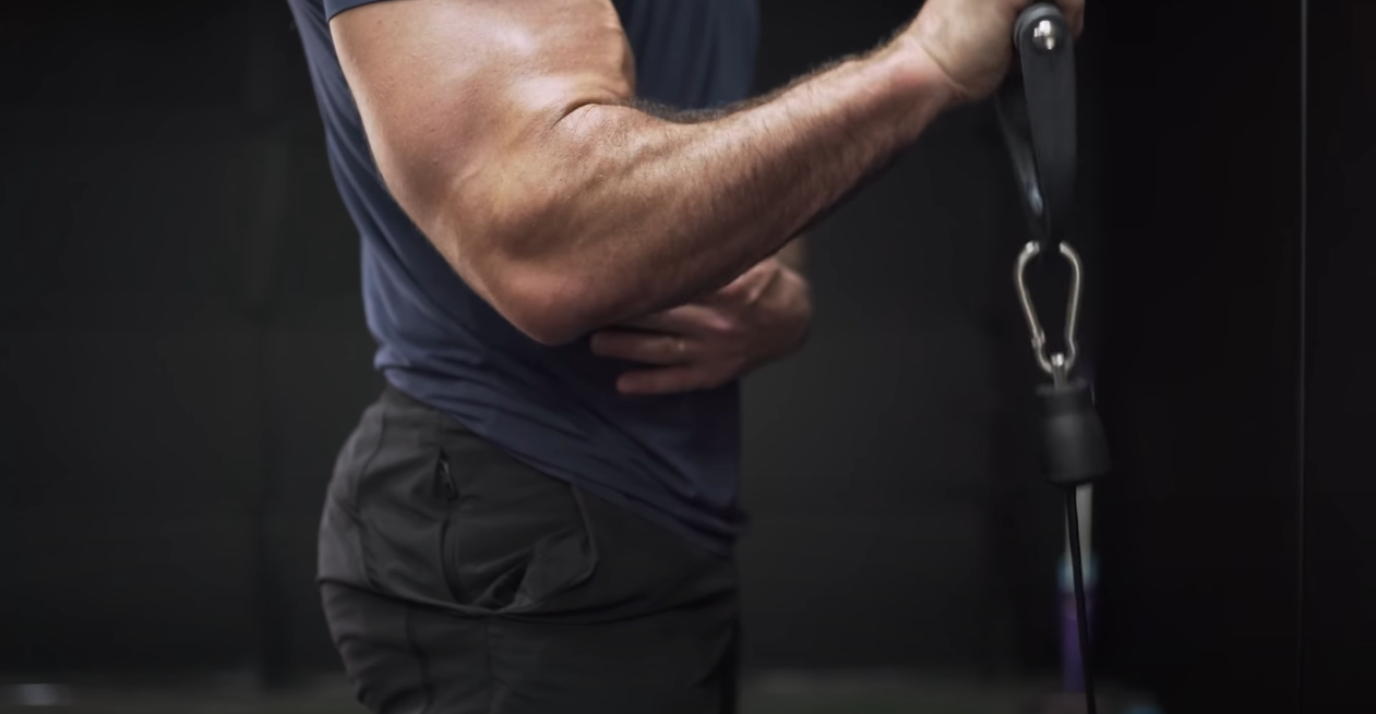 Can We Train Forearms Daily
