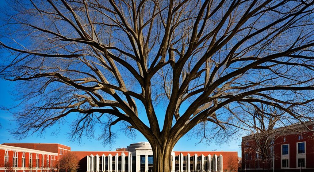 ohio state university